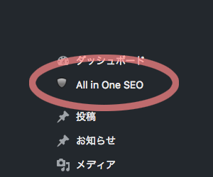 All in One SEO Packの設定箇所